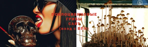 шишки Алзамай