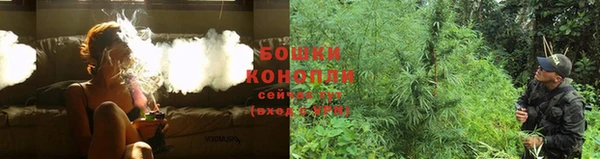 мдпв Каменногорск