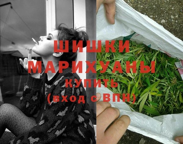 шишки Алзамай