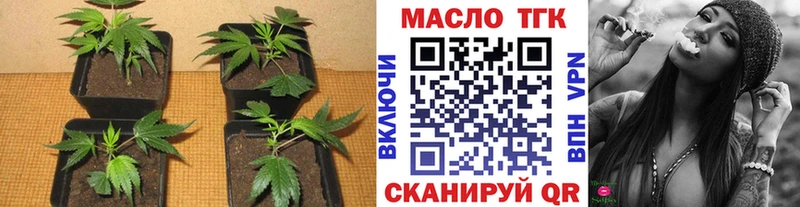 hydra маркетплейс  сайты даркнета телеграм  Королёв  Дистиллят ТГК гашишное масло  купить наркоту 