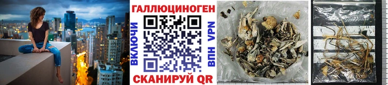Галлюциногенные грибы GOLDEN TEACHER  где найти наркотики  Королёв 