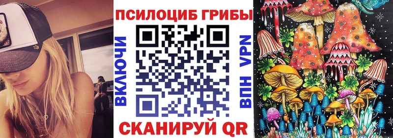 Псилоцибиновые грибы мицелий Королёв