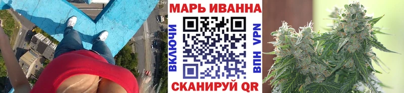 Конопля сатива Королёв